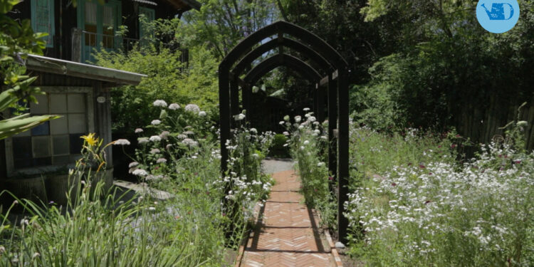 La Flor Azul, el jardín experimental de la paisajista Paquita Romano. ¡Conócelo en un click!