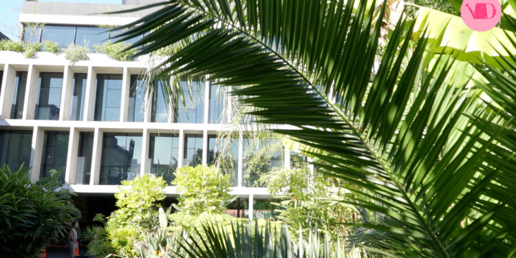 Una oficina con vista a la selva en pleno Buenos Aires