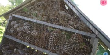 Hotel de insectos, un verdadero servicio ecosistémico para tu huerta: qué es y cómo hacerlo