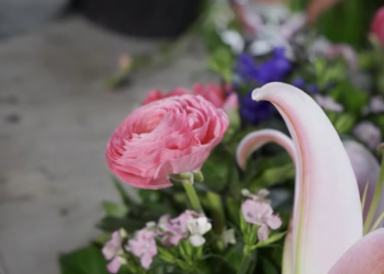 Trabajar en otoño para tener flores en primavera