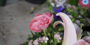 Trabajar en otoño para tener flores en primavera