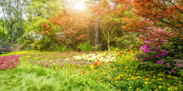 El universo de los colores: la importancia del circulo cromático en los diseños