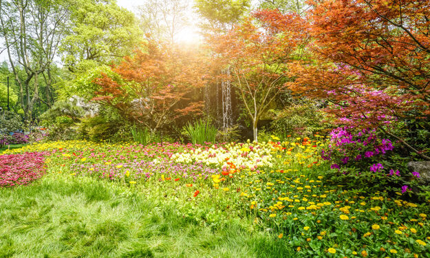 El universo de los colores: la importancia del circulo cromático en los diseños