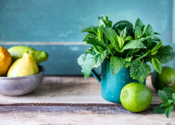 Un boticario en tu propio jardín: Plantas milenarias que curan