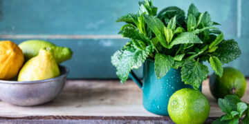 Un boticario en tu propio jardín: Plantas milenarias que curan