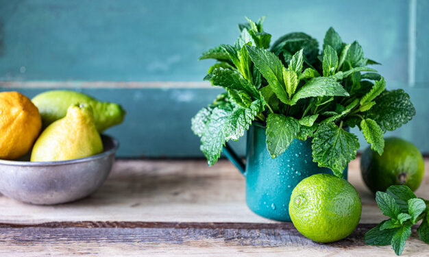 Un boticario en tu propio jardín: Plantas milenarias que curan