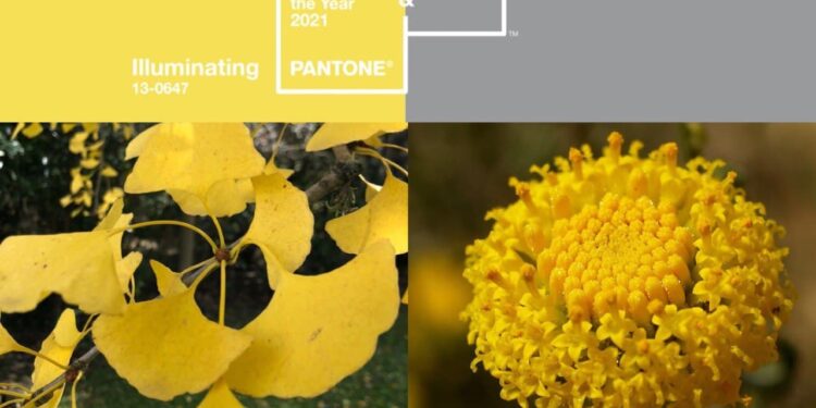 El universo de los colores: la importancia del circulo cromático en los diseños