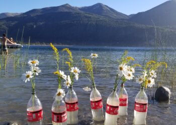 Una protesta florida: María Gassiebayle hace arreglos con residuos con el objetivo de concientizar