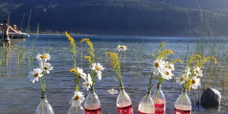 Una protesta florida: María Gassiebayle hace arreglos con residuos con el objetivo de concientizar