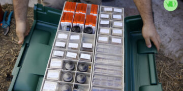 Biblioteca de semillas. Una buena herramienta para colaborar con el cuidado de la biodiversidad