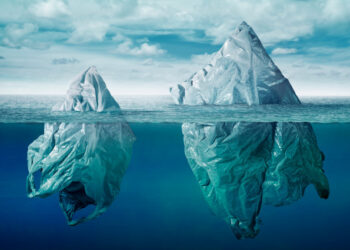 Cada uno de nosotros consume alrededor de 2,000 pequeñas piezas de plástico cada semana