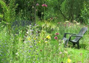 Praderas o jardines de semillas: la nueva tendencia