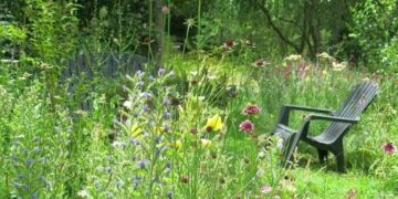 Praderas o jardines de semillas: la nueva tendencia