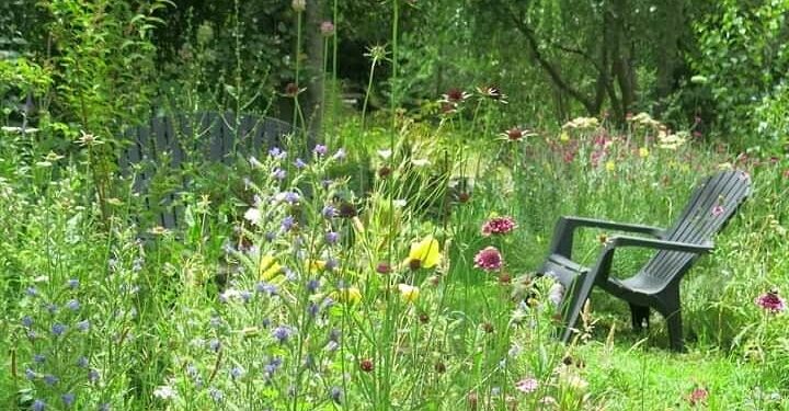 Praderas o jardines de semillas: la nueva tendencia