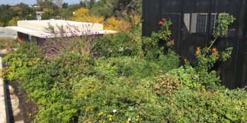 Paisajismo en la selva misionera: Ignacio Montes de Oca nos llama a vivirlo más allá de lo ornamental