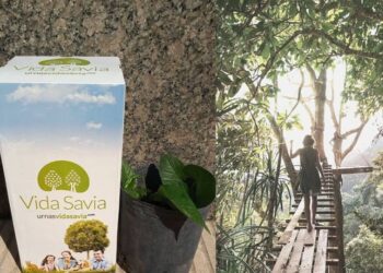 Vida verde después de la muerte: urnas biodegradables que convierten las cenizas en árboles