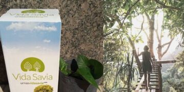 Vida verde después de la muerte: urnas biodegradables que convierten las cenizas en árboles