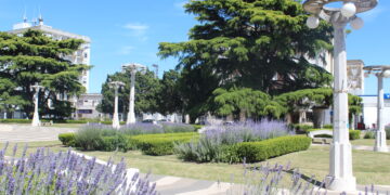 ¿Hacemos juntos la ruta de la lavanda en Azul?