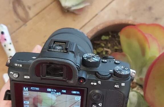 ¿Cómo reproducir suculentas? Te enseñamos con un Kalanchoe thyrsiflora