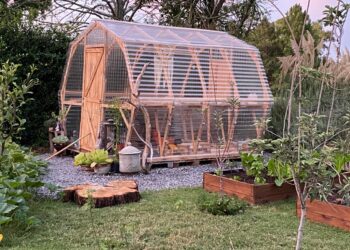 Mucho más que un corazón de madera: en Luján hacen invernáculos con inclusión social