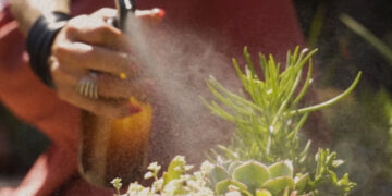 “Cuando estamos parados sobre el suelo, estamos sobre el techo de otro mundo”, nos cuenta  Juan Pablo Brichta