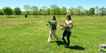 Autoconsumo: ¿Cómo cosechar verduras?