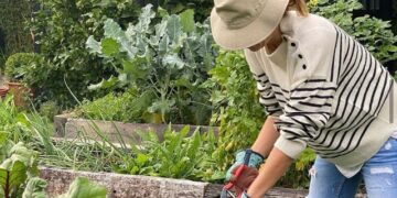 ¿Qué puedo regalar? Acá la lista de ítems de jardinería que no te pueden faltar