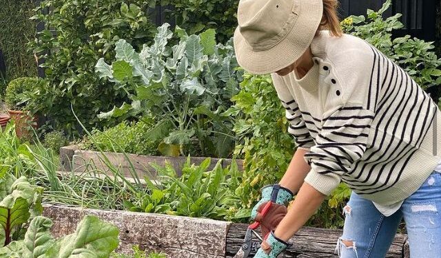 ¿Qué puedo regalar? Acá la lista de ítems de jardinería que no te pueden faltar