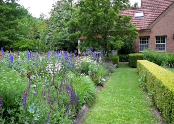 Un recorrido completo por el Jardin de Clara Billoch