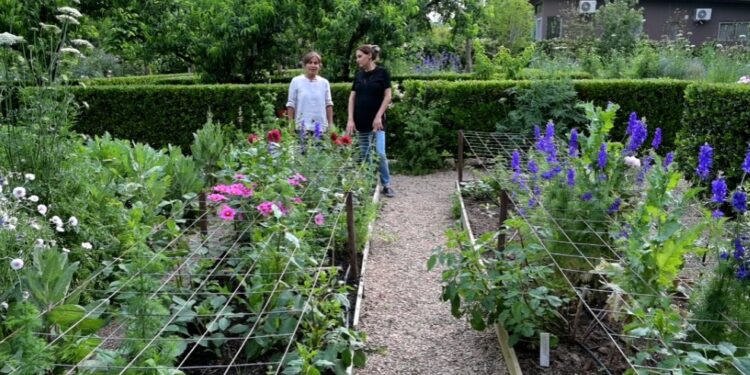 Un recorrido completo por el Jardin de Clara Billoch