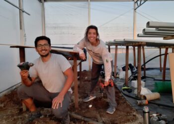 Con amor nació Fuerza Natural: un emprendimiento hidropónico que la pandemia no pudo frenar