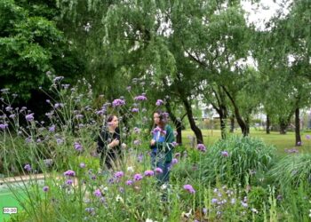 ¿Cómo funciona el Paisaje Ecosistémico?