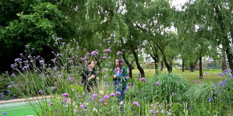 ¿Cómo funciona el Paisaje Ecosistémico?