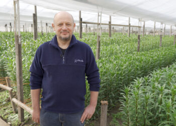 Proyectos que inspiran: El secreto de FlorAr y su amor por las fresias