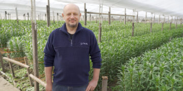 Proyectos que inspiran: El secreto de FlorAr y su amor por las fresias