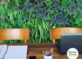 Terrazas verdes ¿Por qué elegirlas?