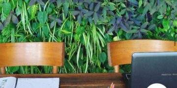 Terrazas verdes ¿Por qué elegirlas?