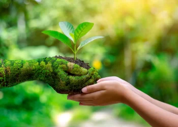 El secreto de la felicidad