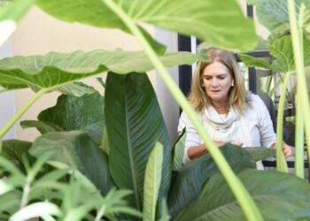 Cuando querés, no hay excusas. Charlas que inspiran con @itasflower