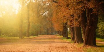 ¿Cuál es el oro en polvo de la jardinería?