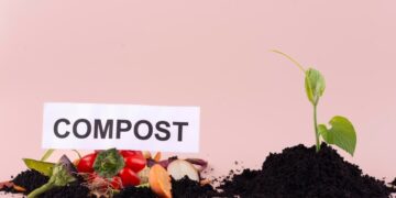 Iniciativa a imitar: Compostar, el programa que redujo 6 mil toneladas de basura en medio año