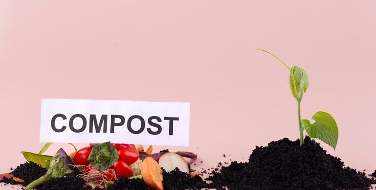 Iniciativa a imitar: Compostar, el programa que redujo 6 mil toneladas de basura en medio año