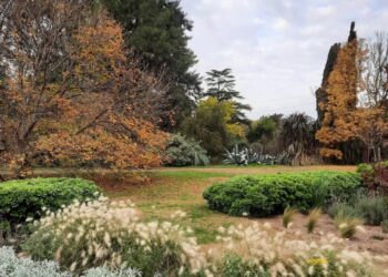 Secretos de un jardín dinámico y sostenible en La Pampa por Irene Wasylyk