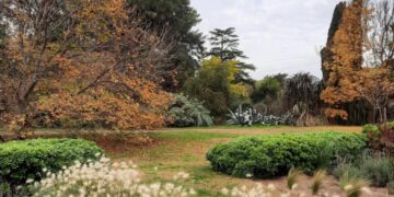 Secretos de un jardín dinámico y sostenible en La Pampa por Irene Wasylyk