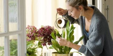 5 plantas resistentes y fáciles de cuidar, perfectas para principiantes