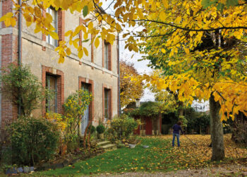 5 tareas de jardinería para hacer en invierno