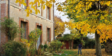 5 tareas de jardinería para hacer en invierno