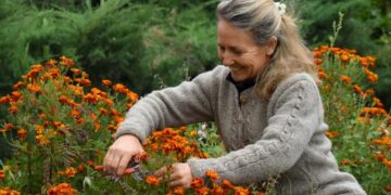 Secretos del invierno para que la primavera nos sorprenda en el jardín
