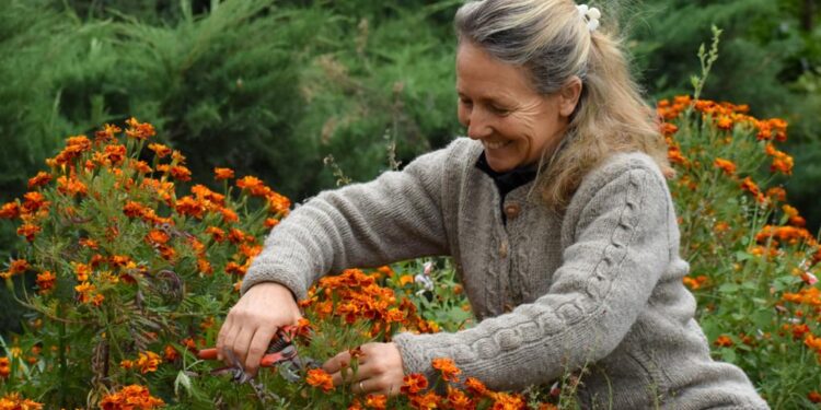 Secretos del invierno para que la primavera nos sorprenda en el jardín