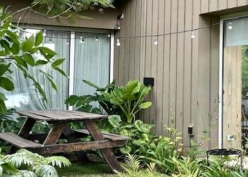 10 plantas ideales para crear un rincón tropical